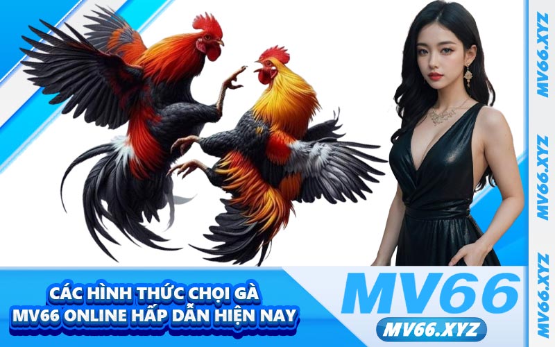 Các hình thức chọi gà MV66 online hấp dẫn hiện nay