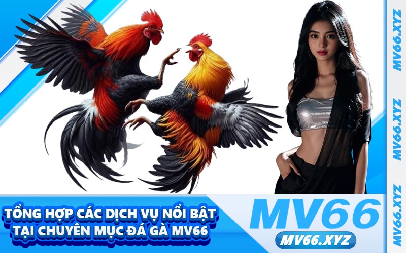 Tổng hợp các dịch vụ nổi bật tại chuyên mục đá gà MV66